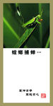 廉政文化展板