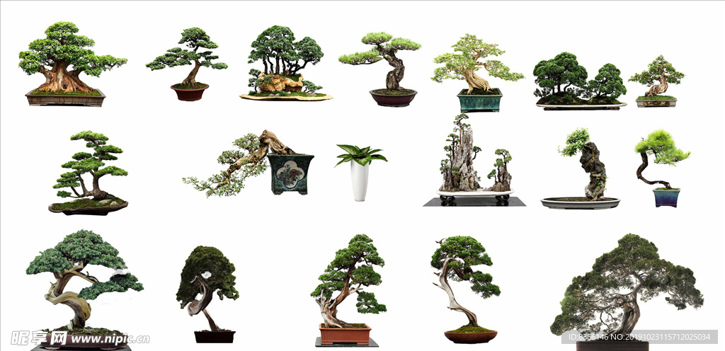 室内中式盆景盆栽绿植摆件免抠
