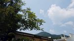 南山寺