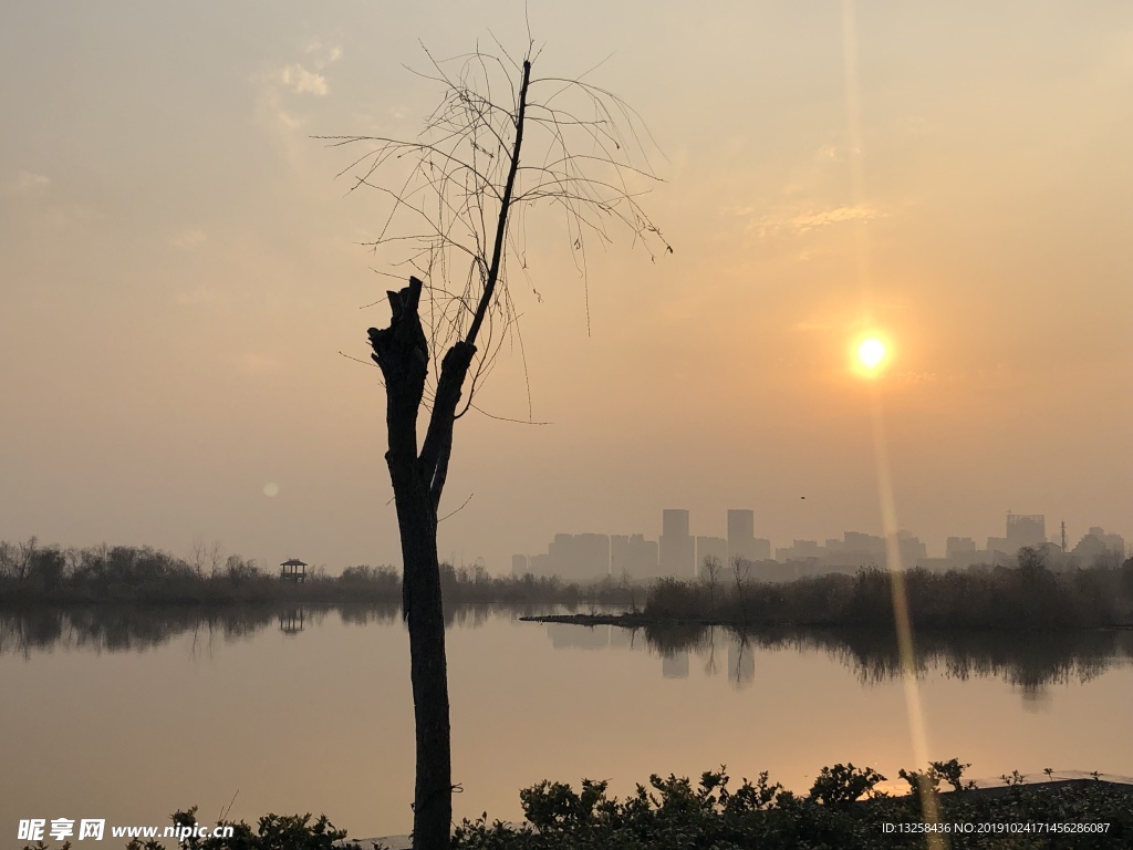 河边枯树夕阳风景建筑