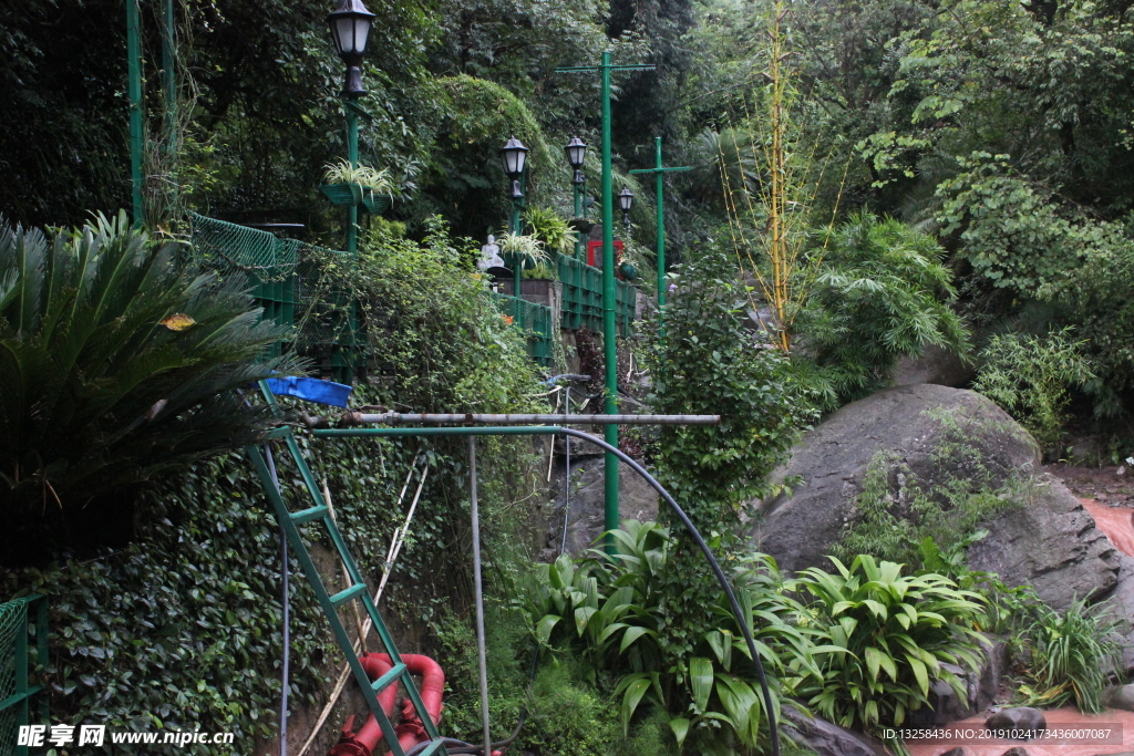 森林树木风景护栏背景