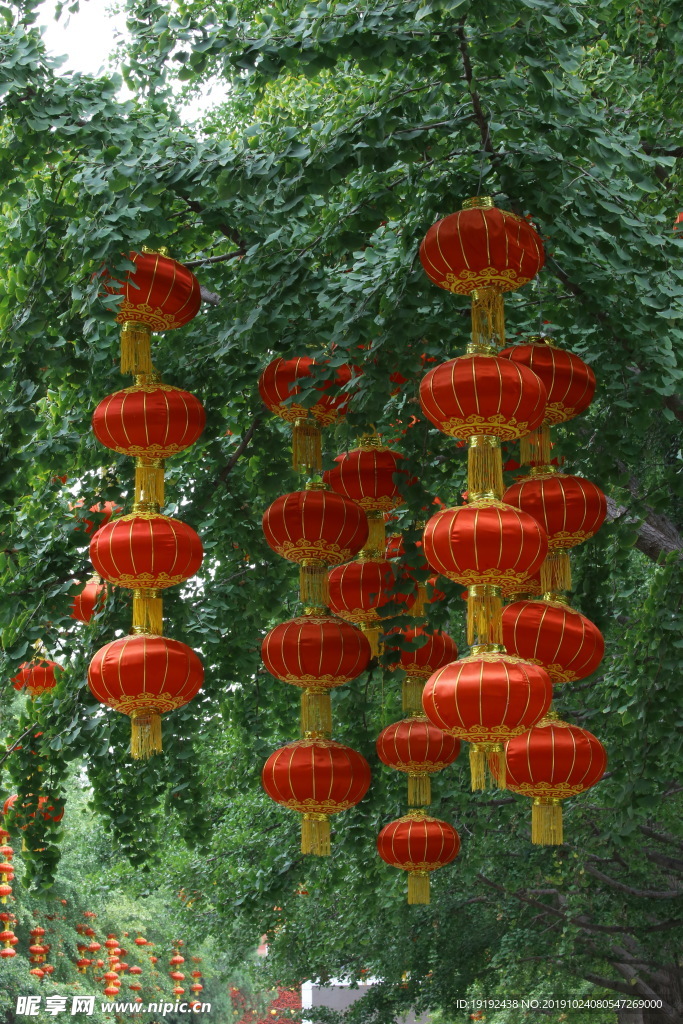 天坛风景