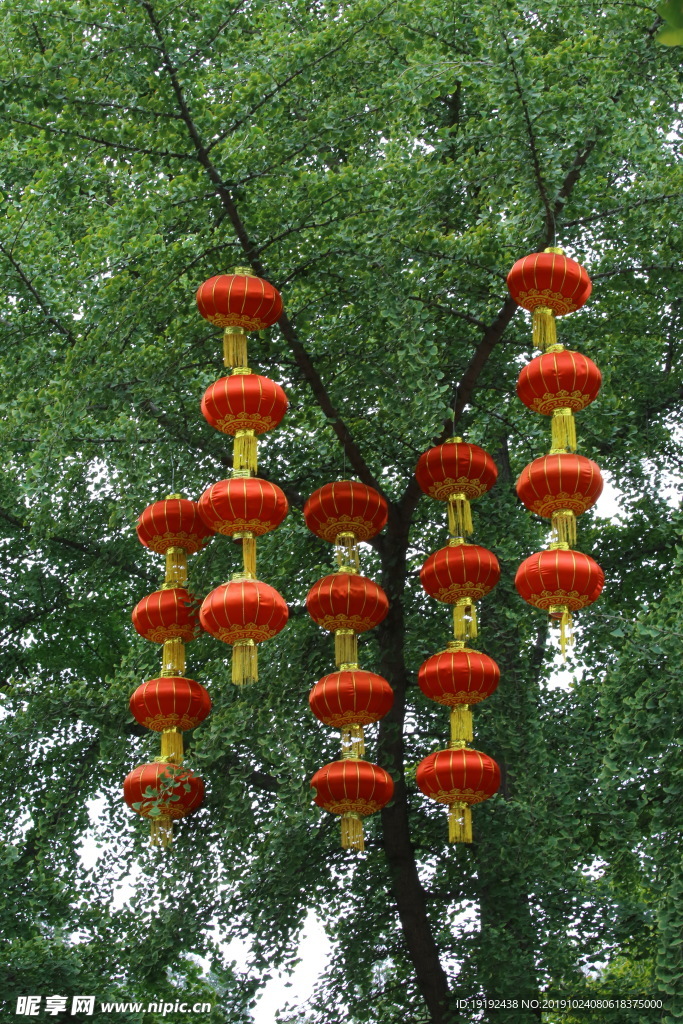 天坛风景