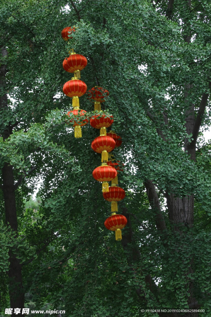 天坛风景