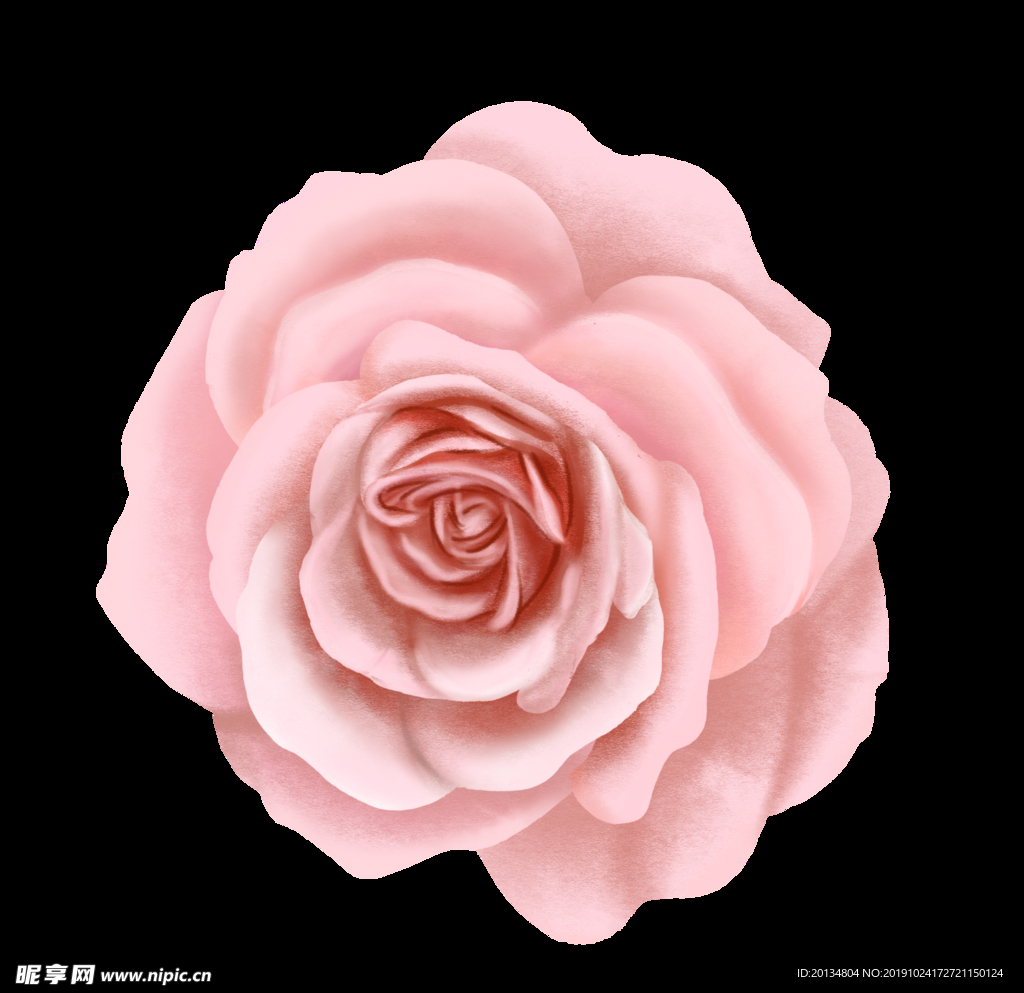 精美粉色玫瑰花素材