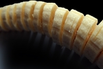 香蕉