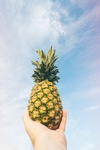 菠萝