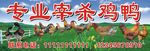 活禽现杀现卖