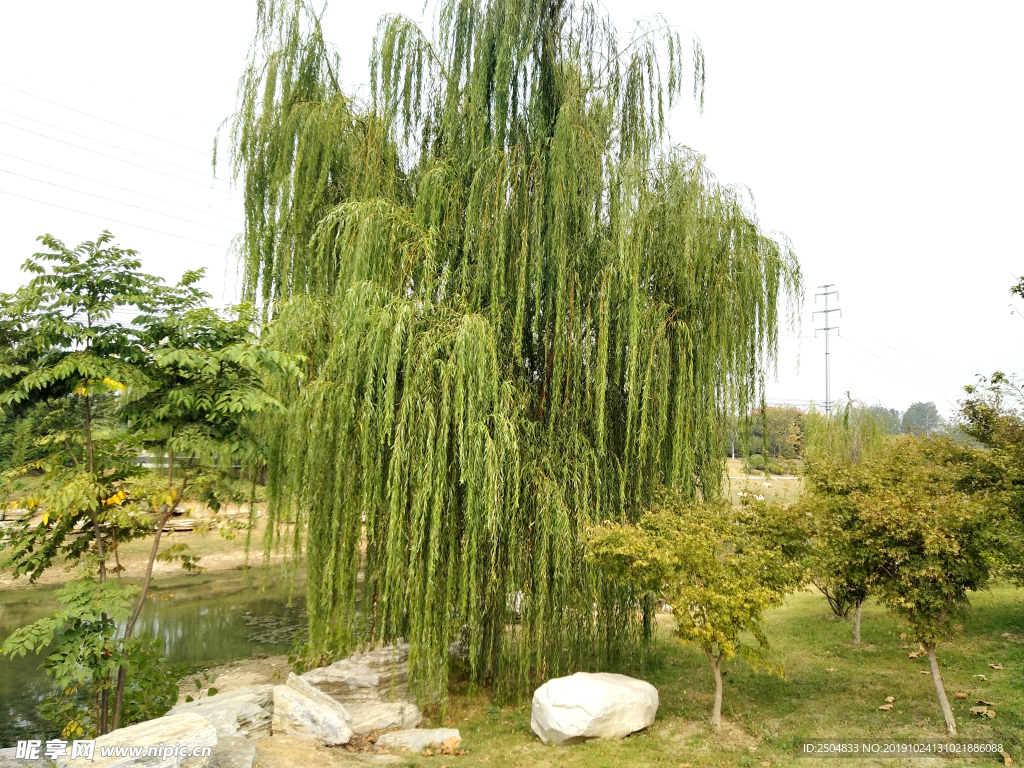 自然风景