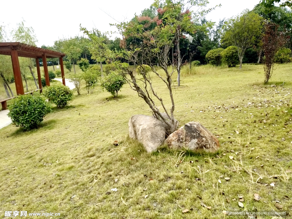 自然风景