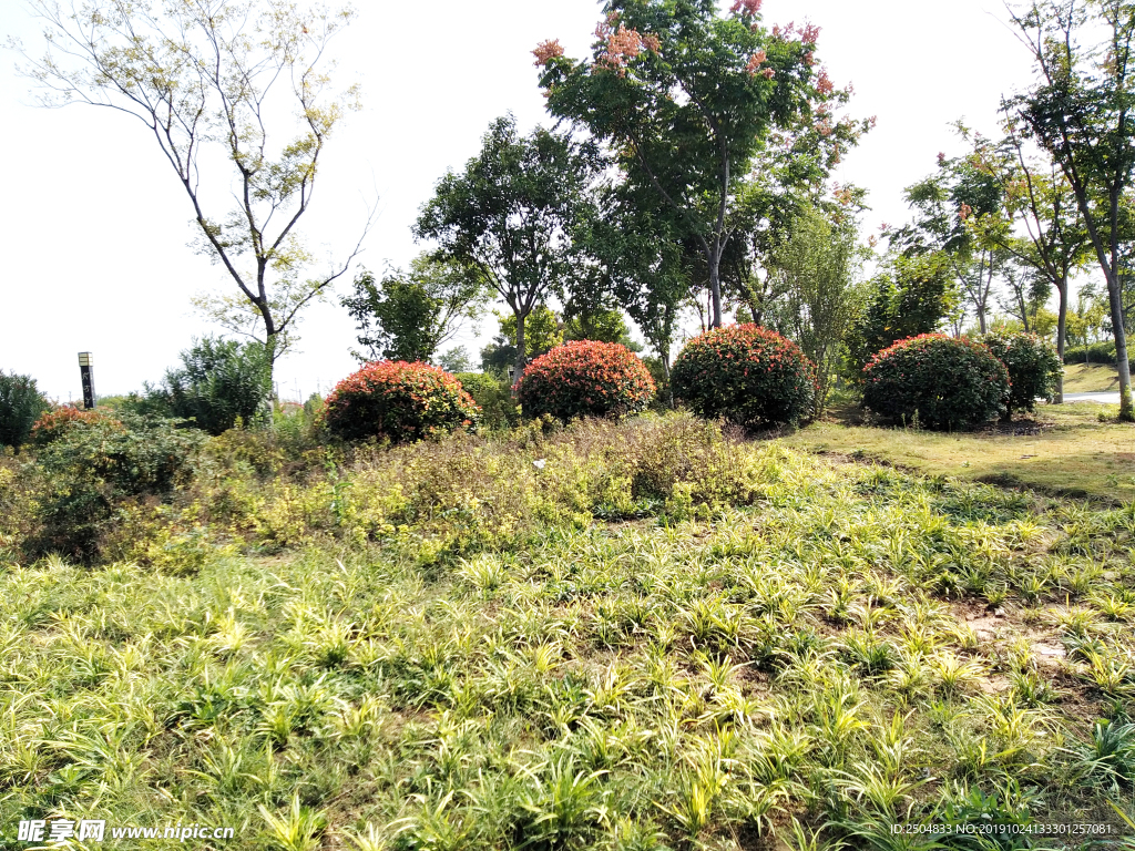 自然风景