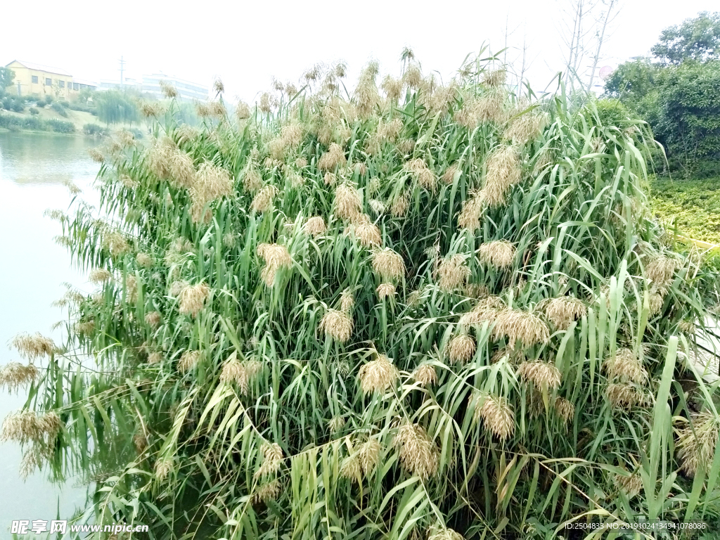 自然风景