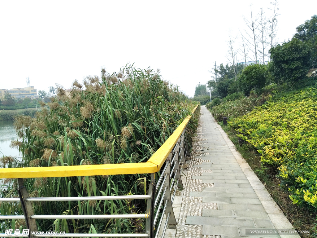 自然风景