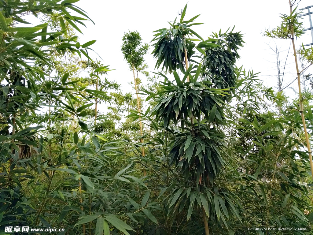 自然风景