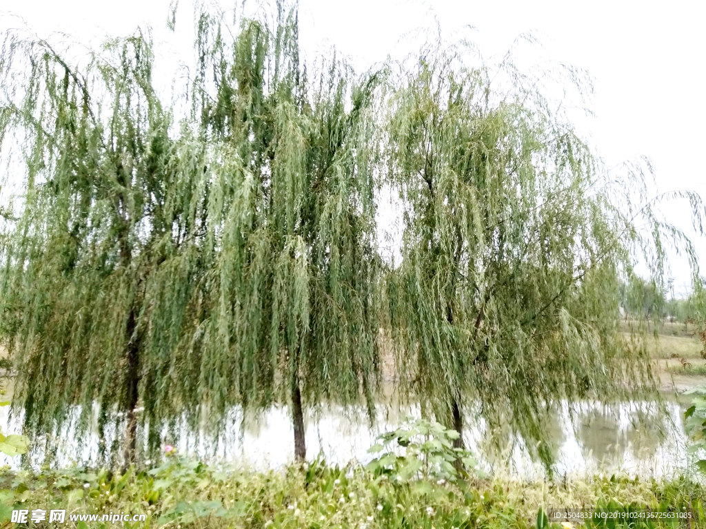 自然风景