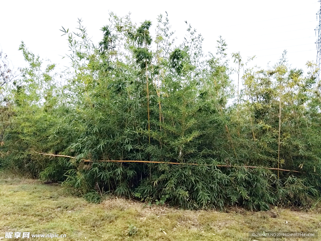 自然风景