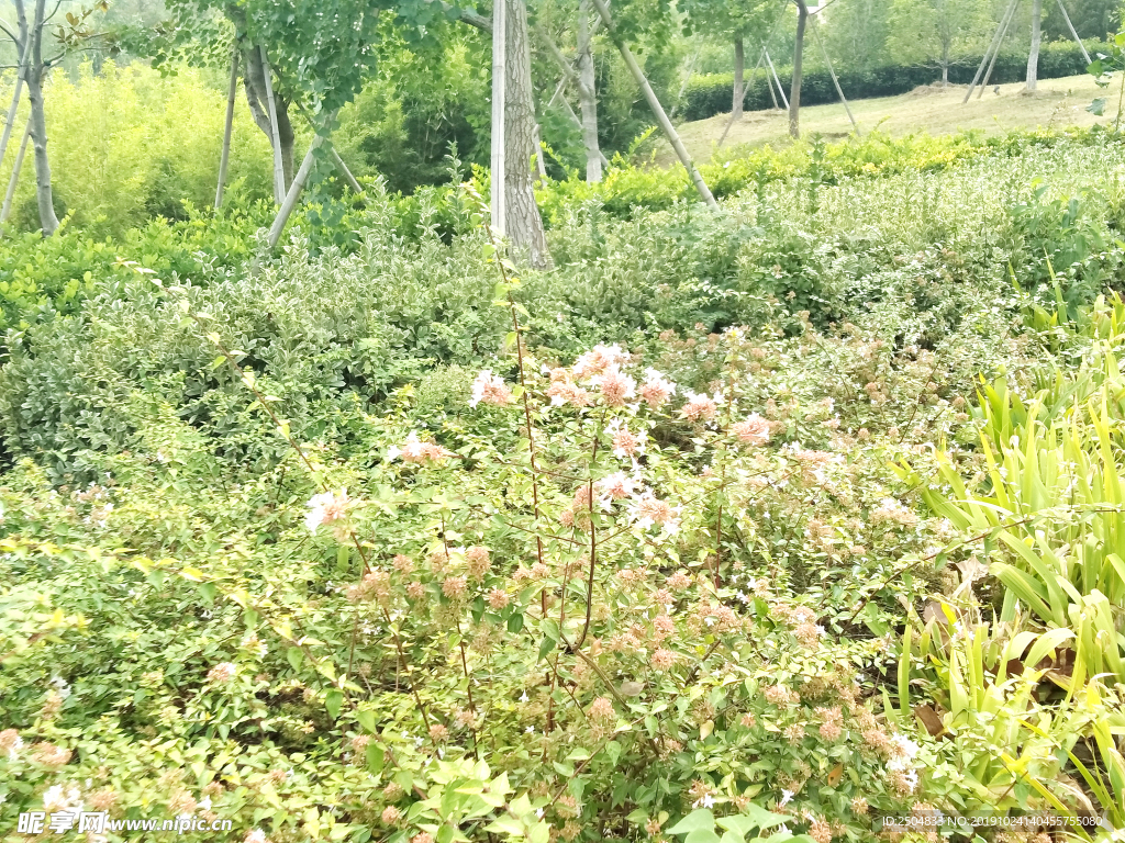自然风景