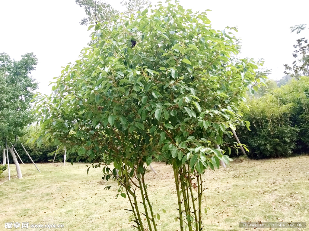 自然风景