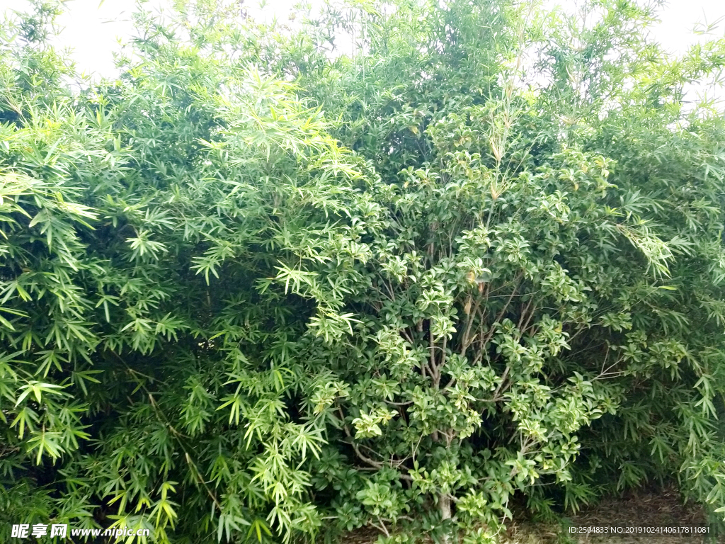 自然风景