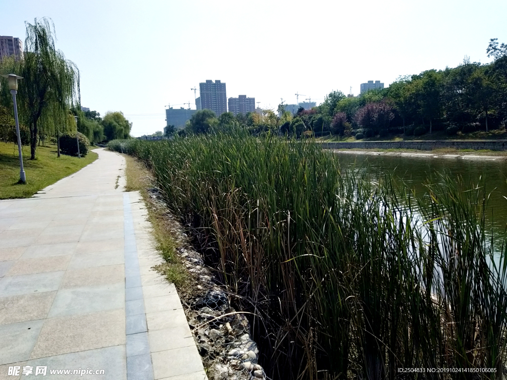 自然风景