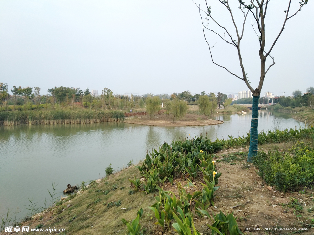 自然风景