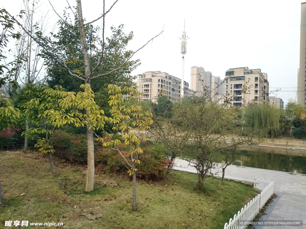 自然风景