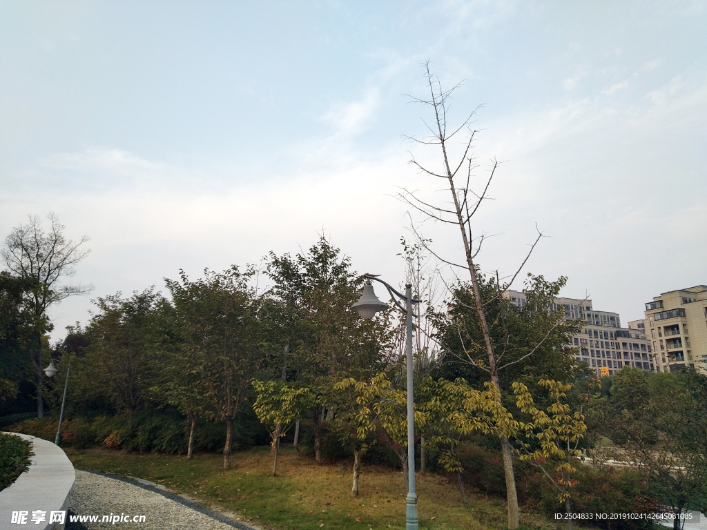 自然风景