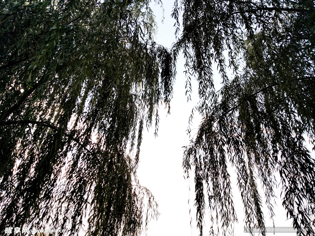 自然风景
