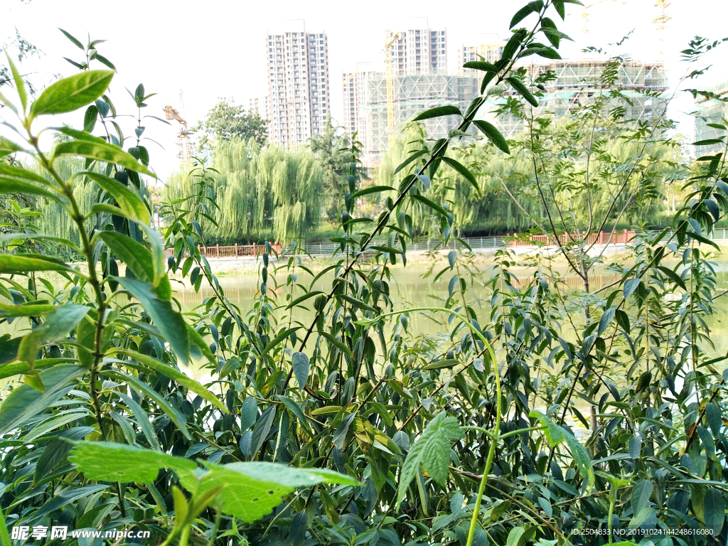 自然风景