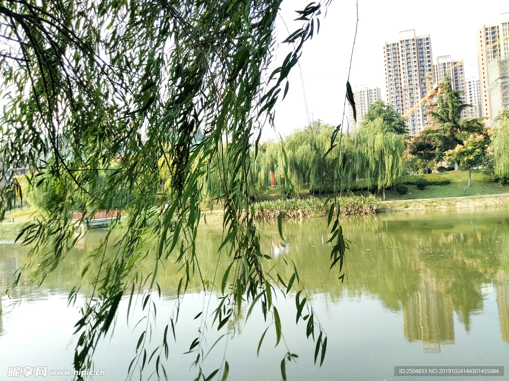 自然风景