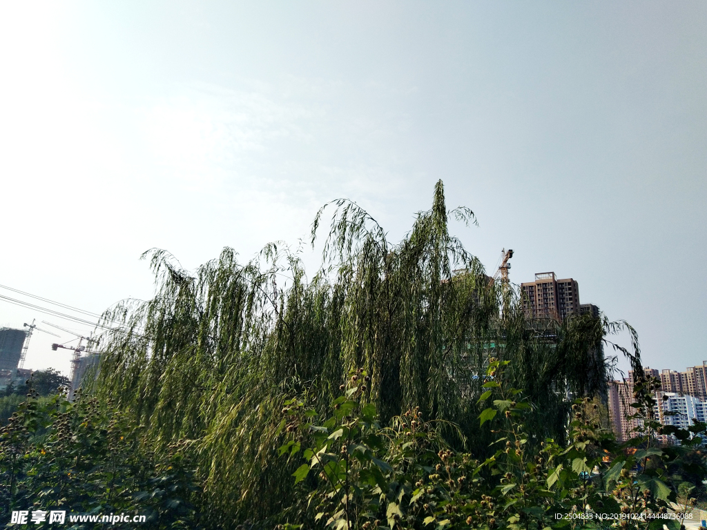 自然风景