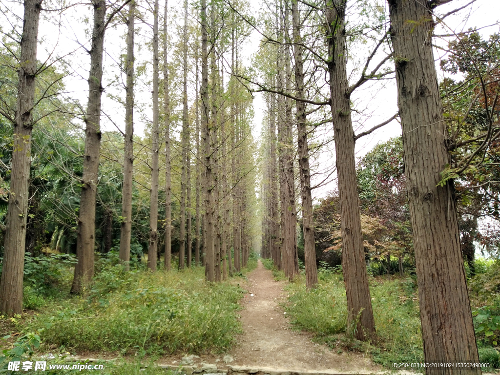 自然风景