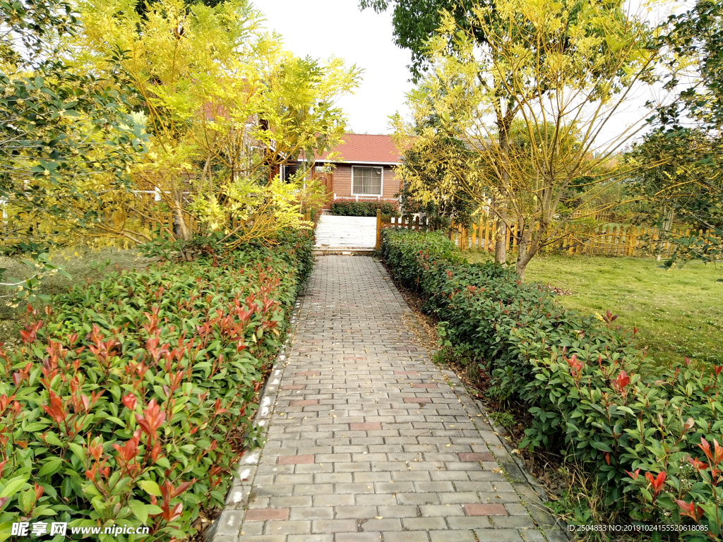 自然风景