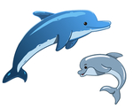 海豚