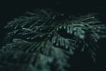照片素材
