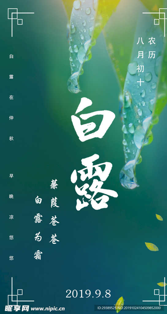 二十四节气白露