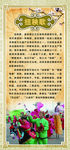 民俗 展板