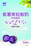 果粒酸奶