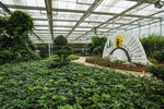 植物园
