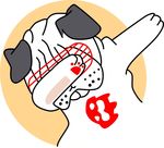 潮牌狗狗