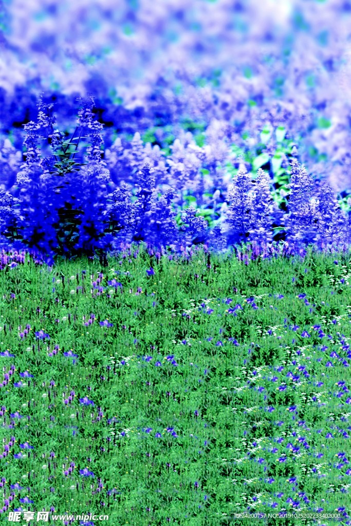 花丛