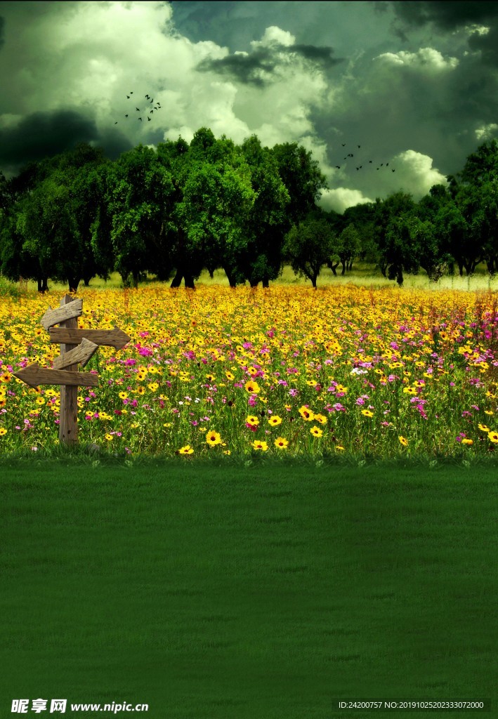 花海