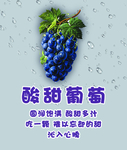 葡萄灯箱