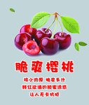 樱桃
