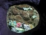 海底世界 海洋馆 热带鱼 河豚