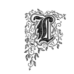 矢量字母设计图片