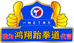 我为跆拳道代言手举