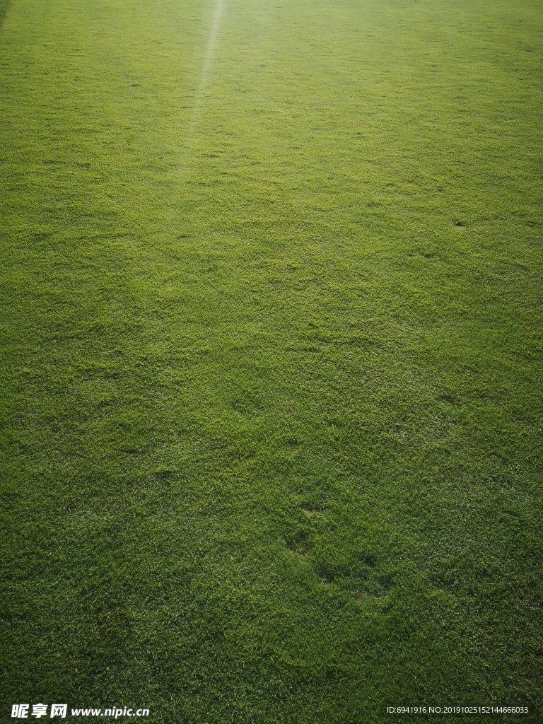 草地