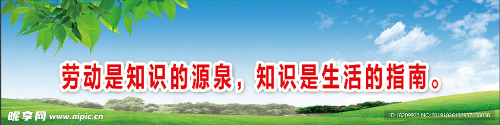 小学