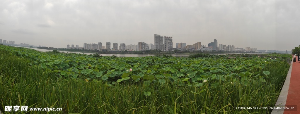 遂宁观音湖圣莲岛图片